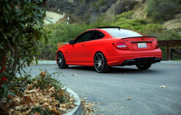 Red, wheels, Mercedes Benz, AMG, C63, rearside