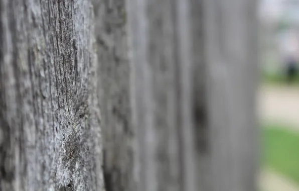 Macro, The fence, wooden