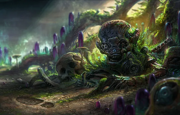 Picture earth, mushrooms, trail, skull, being, art, crystals, Golem