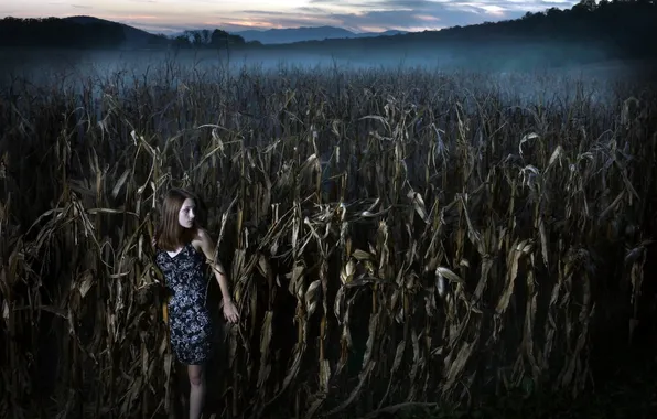 Picture girl, night, corn