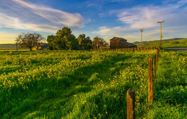 Greens, grass, trees, posts, the fence, field, the barn, CA