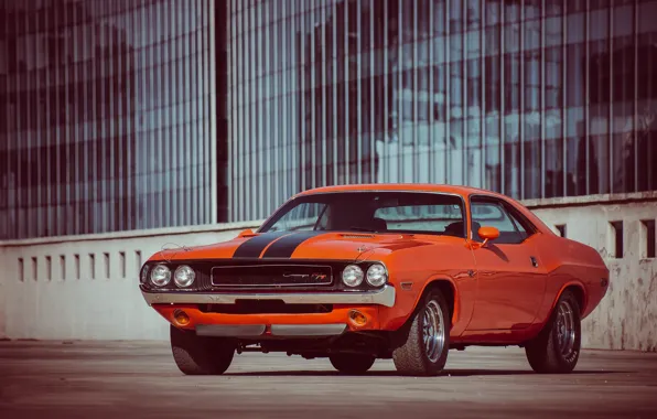 Orange, Dodge, dodge, challenger, muscle car, r/t, 1970, orange