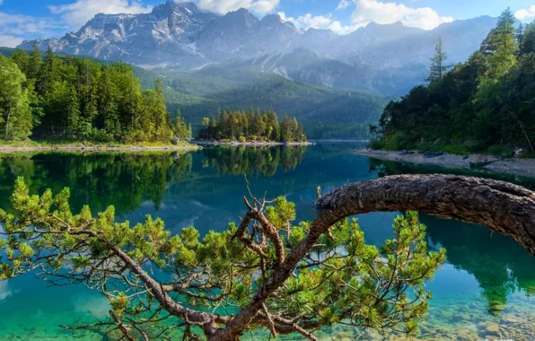 Picture forest, mountains, nature, river