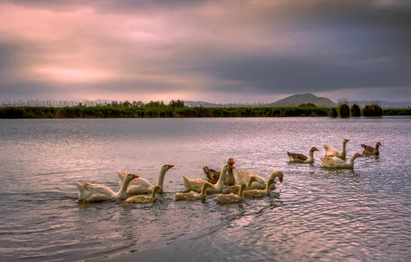 The sky, water, clouds, mountains, birds, clouds, pond, river