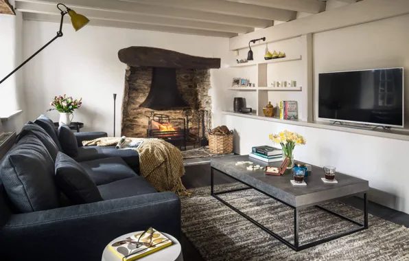 Picture room, interior, fireplace, living room