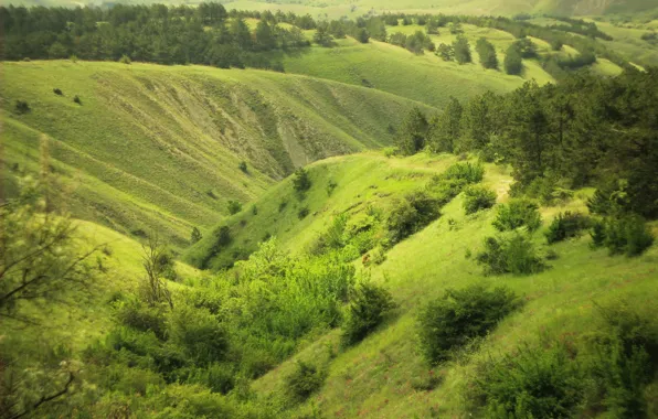 Greens, the slopes, Crimea, hills