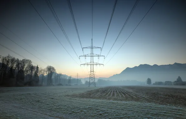 Field, fog, morning, power lines