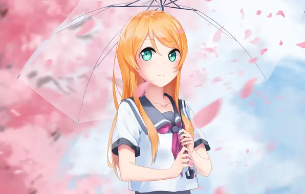 Girl, umbrella, Oreimo, My little sister can't be this cute