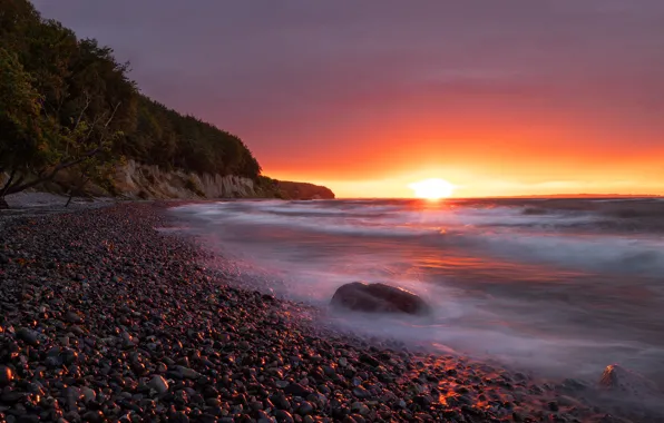 Sea, wave, forest, beach, the sky, the sun, light, sunset