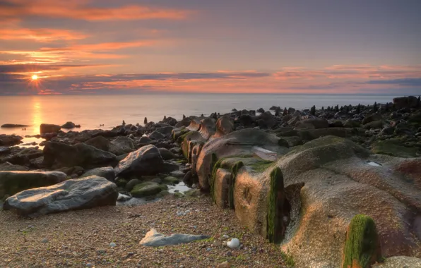 Picture sea, beach, the sun, stones, dawn, moss