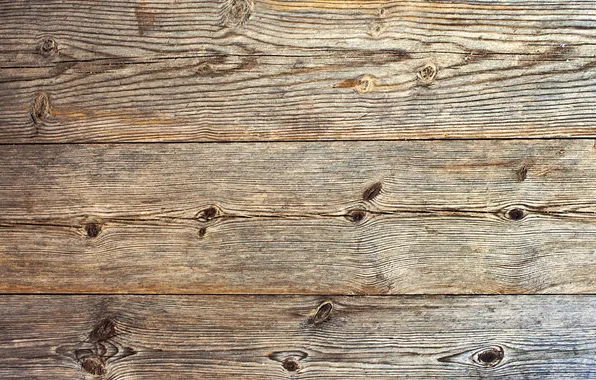 Texture, finish, under the tree