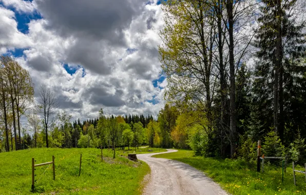 Picture greens, summer, grass, clouds, green, track, grass, clouds