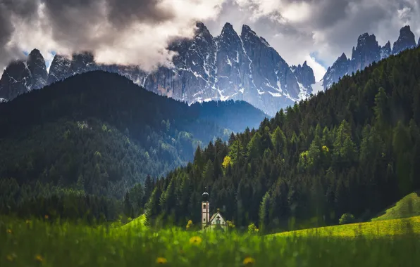 Field, forest, grass, clouds, mountains, the slopes, tops, Alps