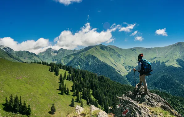 Clouds, trees, mountains, trees, mountains, meadows, clouds, blue sky