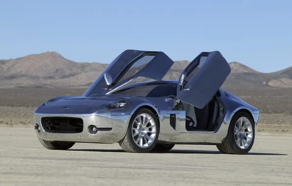 Picture ford shelby, GR-1 Aluminum, Body Concept