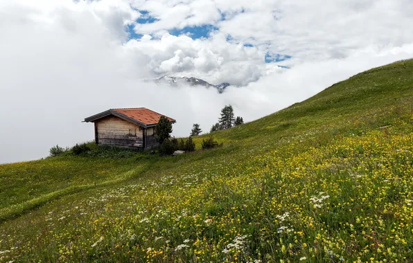 Landscape, mountains, home