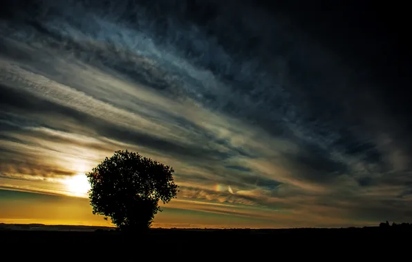 The sky, landscape, sunset, tree, silhouettes
