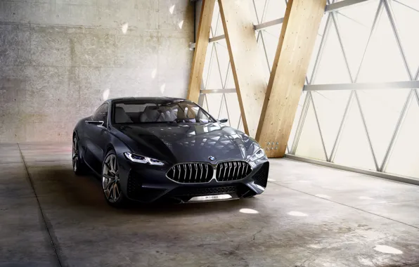 Concept, coupe, BMW, BMW, the concept car, 2017, 8-series, 8 series