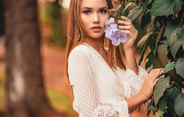 Picture look, leaves, girl, flowers, nature, dress, red