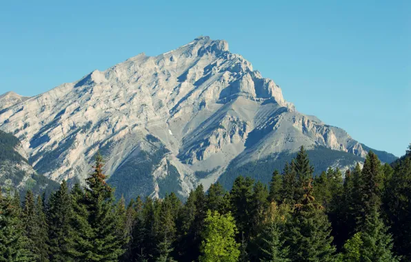 Forest, the sky, Mountain, mountain, Cascade, Banff national park, Cascade