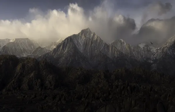 Clouds, flight, mountains, fog, stones, overcast, rocks, bird