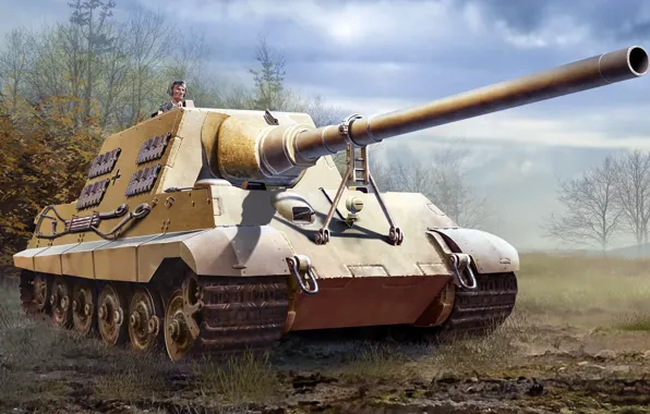 Picture figure, SAU, Hunting tiger, German self-propelled artillery, Jagdtiger, Tank Hunter Tiger