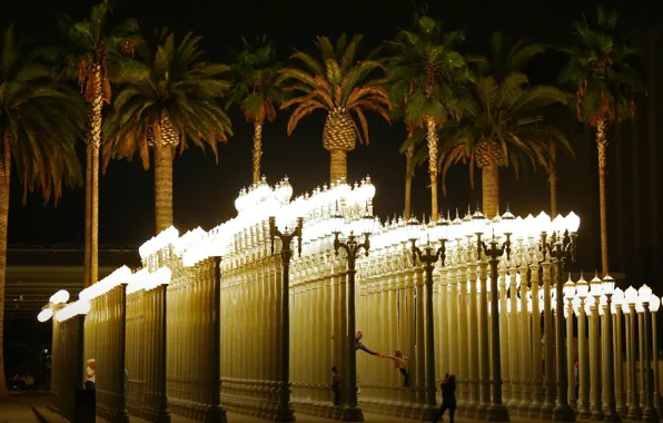 Picture palm trees, lights, CA, USA, Los Angeles, installation