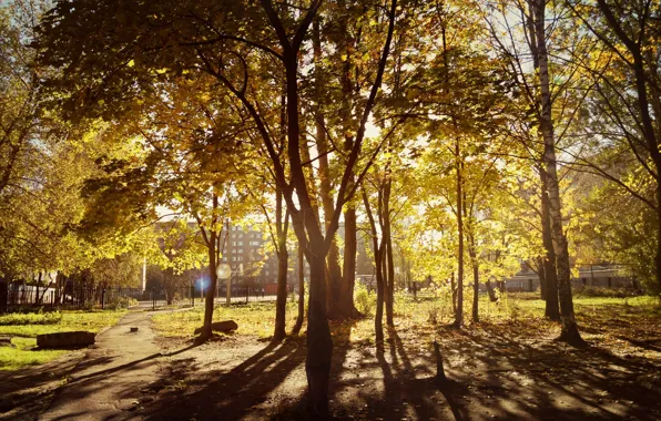 Autumn, forest, leaves, the sun, rays, light, trees, time
