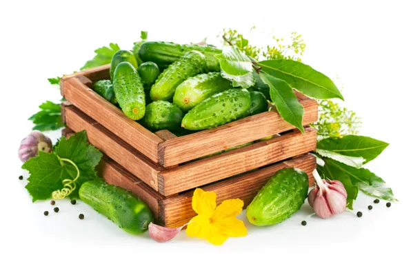 Picture flower, dill, box, box, flowers, cucumbers, garlic, Bay leaf