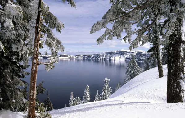Picture winter, forest, snow, trees, lake, hills