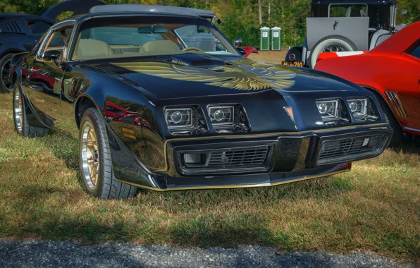 Pontiac, Firebird, Trans Am, 1979, 403ci