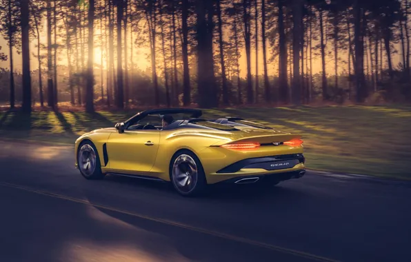 Bentley, Mulliner, 2020, Bacalar