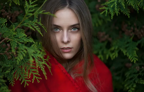 Look, girl, branches, face, sweetheart, model, portrait, light