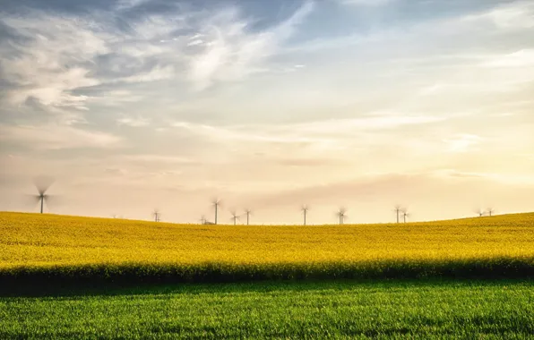 Field, summer, landscape, windmills, rape