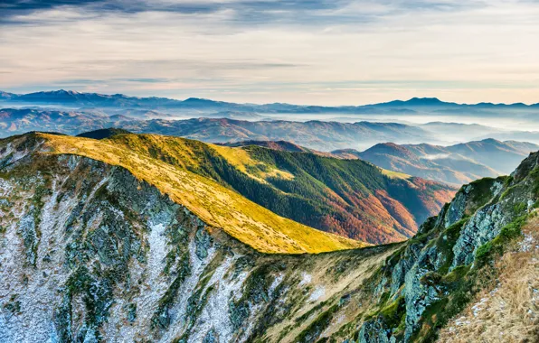 Nature, Mountains, Moss, Landscape