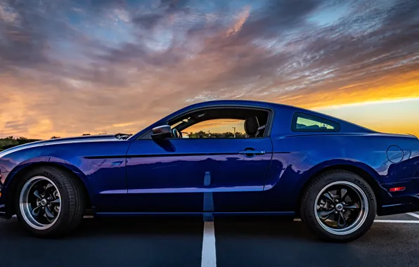 Picture side view, Muscle car, Pony Car, 2014 Ford Mustang