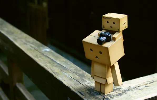 Picture box, baby, the camera, man, danbo