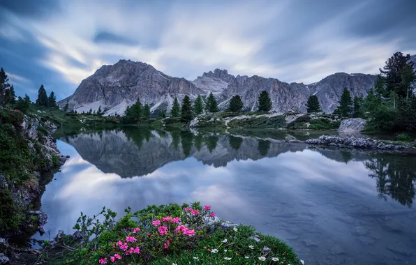 The sky, clouds, trees, flowers, reflection, mirror, Italy, peak