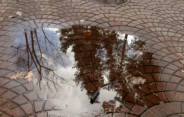 Picture Autumn, Puddle, Water reflection