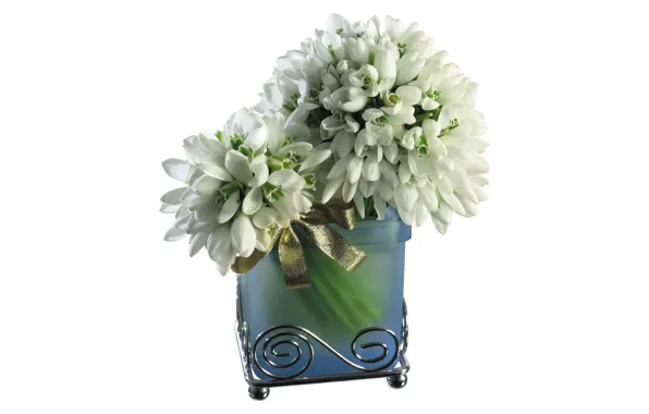 Picture background, snowdrops, vase