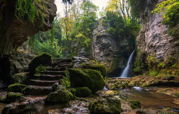 Picture forest, the sky, trees, landscape, nature, rock, waterfall, plants