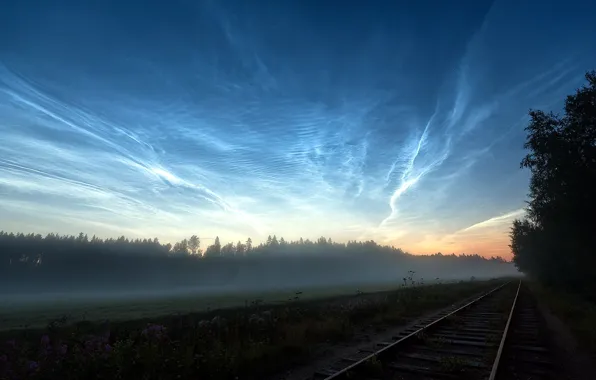 Field, landscape, fog, morning, railroad