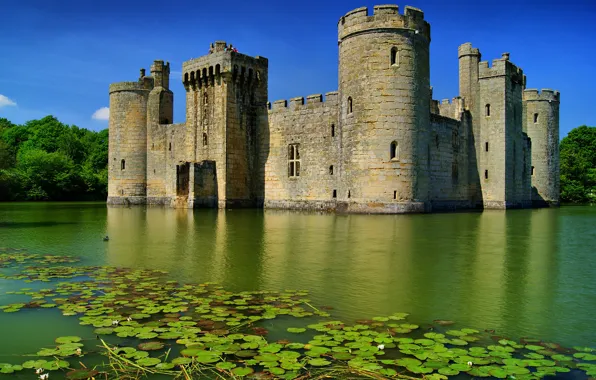 Picture England, The sky, Water, Lake, Trees, Forest, Castle, Summer