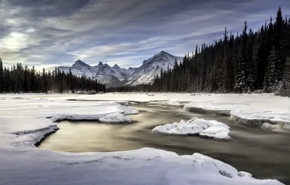 Ice, river, canada, Athabasca