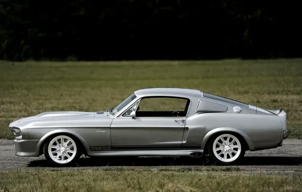 Auto, GT500, Ford Mustang, Shelby Eleanor