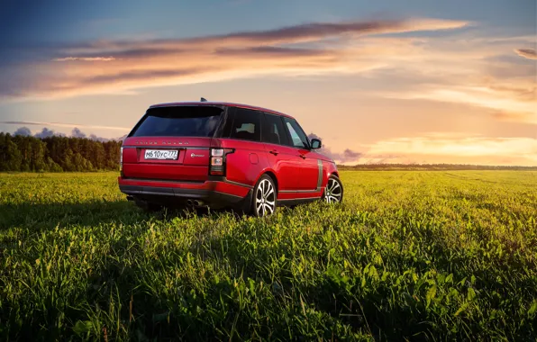 Auto, red, Range Rover SV Autobiography Dynamic