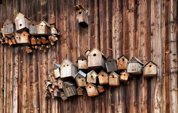 Background, wall, skvoreshnik