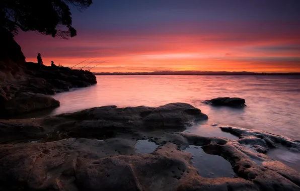 Picture Coyle Park, New Zealand, Point Chevalier, Auckland