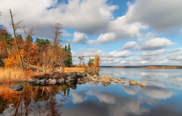 Autumn, the sky, clouds, trees, nature, island, Bay, Leningrad oblast