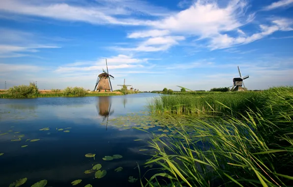 Picture river, channel, mill, Holland